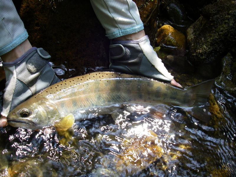 ほんのり桜色の美肌です(嬉)